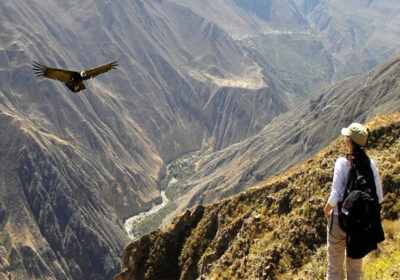 From Arequipa: Colca Canyon Full-Day Guided Tour with Meals