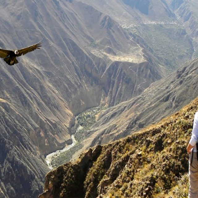 From Arequipa: Colca Canyon Full-Day Guided Tour with Meals