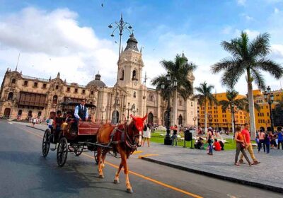 Lima City Tour: Historic Center, Modern Parks & Catacombs