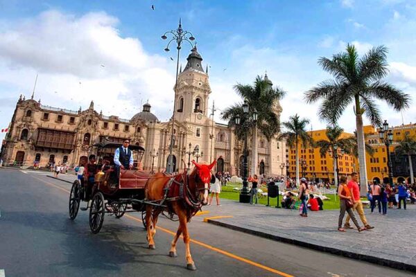Lima City Tour: Historic Center, Modern Parks & Catacombs