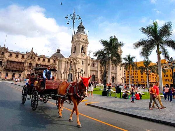 Lima City Tour: Historic Center, Modern Parks & Catacombs