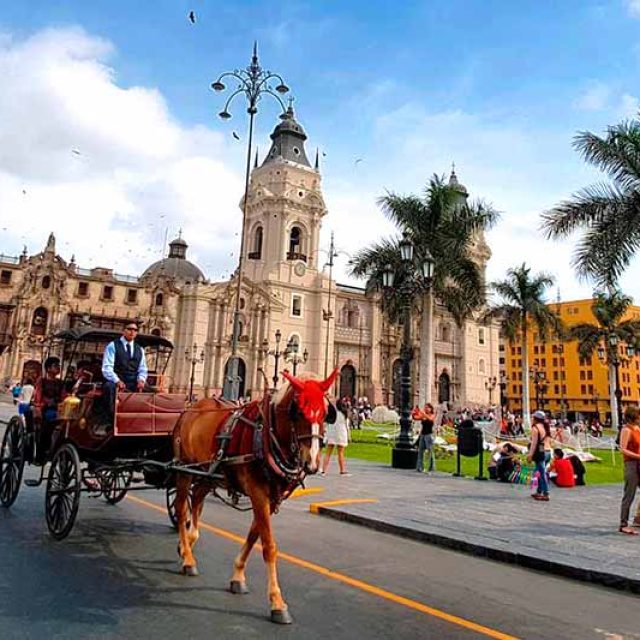 Lima City Tour: Historic Center, Modern Parks & Catacombs